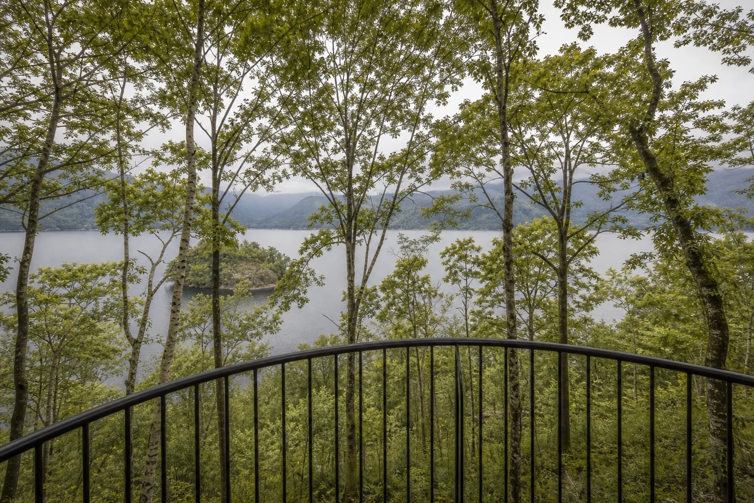 Guest Tree House on Stilts Above a Lake District Wood in Windermere, Cumbria, photo 4 of 4